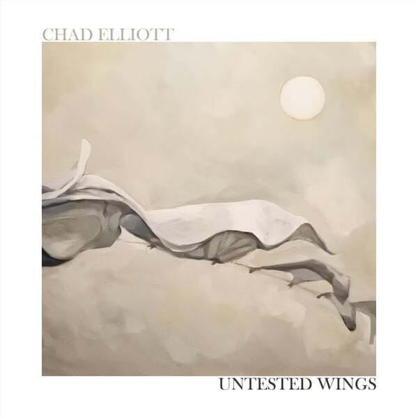 Cover art for Untested Wings
